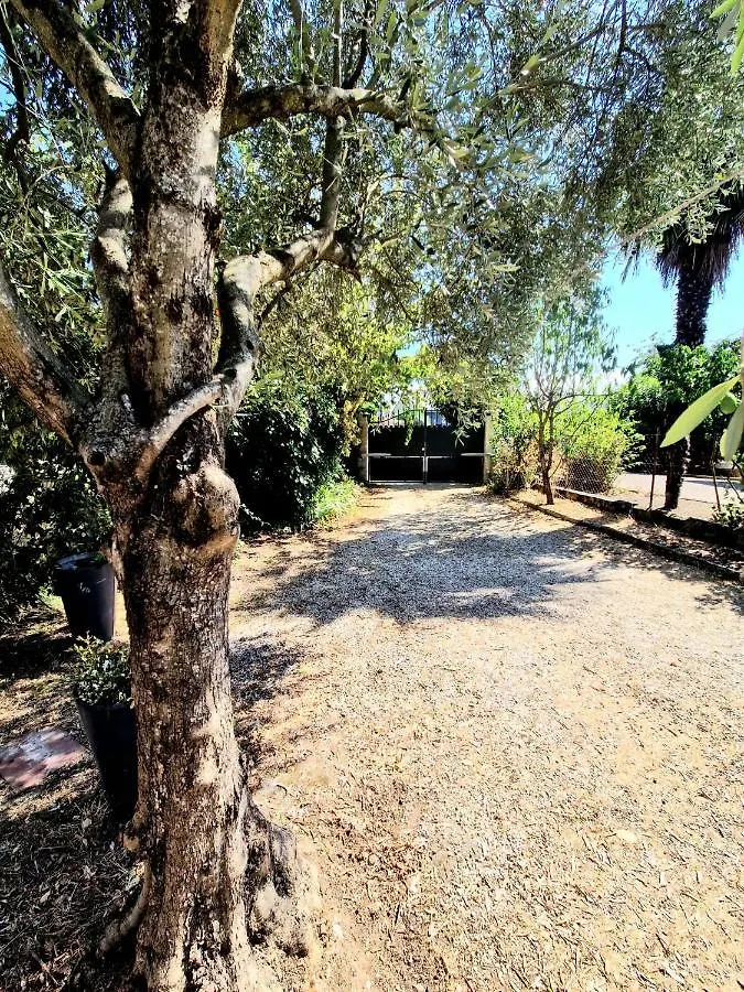 Villa Calme Grand Jardin, A 10Mn Du Centre Ville Toulouse France